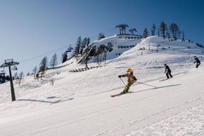 Detaillierte Infos zur Unterkunft Hotel AlpenSchlössl