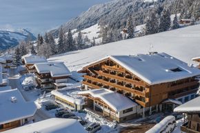 Detaillierte Infos zur Unterkunft Hotel Alphof