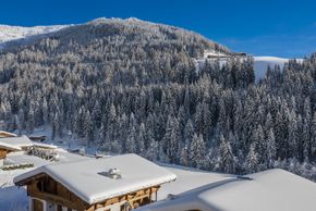 Detaillierte Infos zur Unterkunft Hotel Alphof