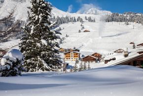 Detaillierte Infos zur Unterkunft Hotel Anemone