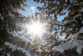 Detaillierte Infos zur Unterkunft Hotel Anemone