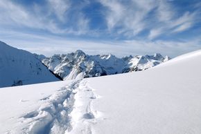 Detaillierte Infos zur Unterkunft Hotel Apartments Alpenrose