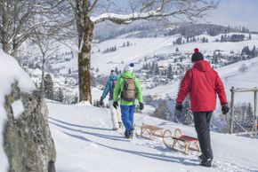 Rodeln in Todtnauberg