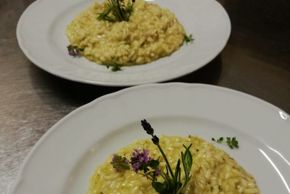 Detaillierte Infos zur Unterkunft Hotel Ca del Bosco