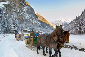 Pferdeschlittenfahrt