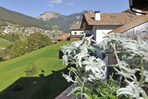 Detaillierte Infos zur Unterkunft Hotel Digon