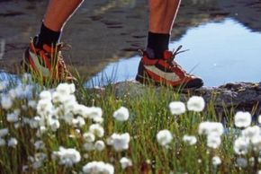 Detaillierte Infos zur Unterkunft Hotel Forer