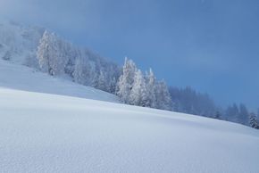 Detaillierte Infos zur Unterkunft Hotel Gänsleit