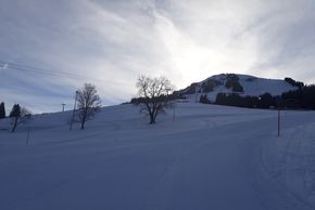 Detaillierte Infos zur Unterkunft Hotel Gänsleit