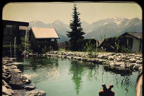 Sommer Naturbadeteich