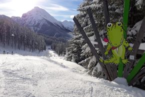 Detaillierte Infos zur Unterkunft Familienhotel Botenwirt