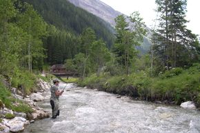 Detaillierte Infos zur Unterkunft Hotel Garni Forelle****und Gästehaus***