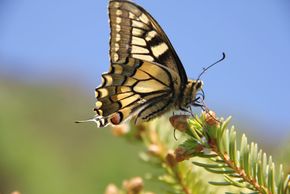 Detaillierte Infos zur Unterkunft Apart Gletscherblick