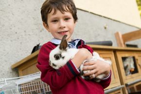 Detaillierte Infos zur Unterkunft Hotel Kristall