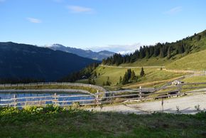 Detaillierte Infos zur Unterkunft Hotel Larchhof