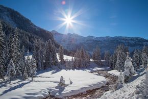 Detaillierte Infos zur Unterkunft Alpin Life Resort Lürzerhof