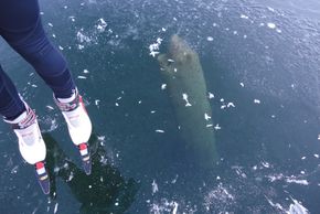 Spiegeleis am Weissensee