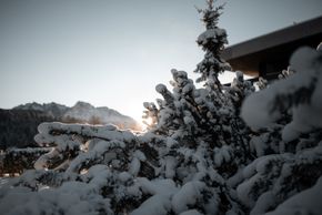 Detaillierte Infos zur Unterkunft Green luxury hotel Pfösl