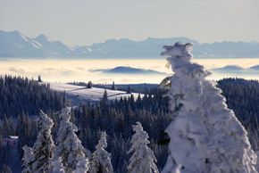 Detaillierte Infos zur Unterkunft Landhotel Sonneck