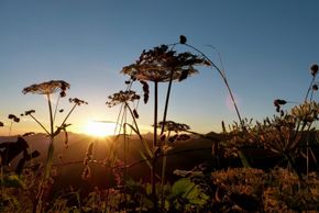 Wandern im Kleinwalsertal