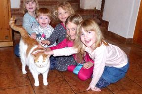 Kunibert die Schlosskatze