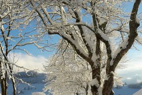 Blick den Hornweg runter von der Panorama Lodge Sonnenalm