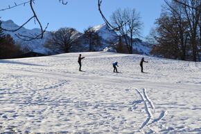 Langlauf in Aeschi