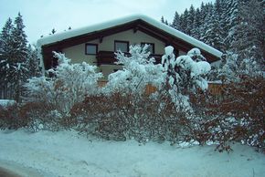 The Treehouse Backpacker Hotel