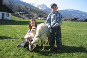 unsere Tiere kennenlernen