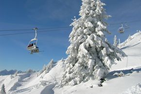 Detaillierte Infos zur Unterkunft HAUS DREER