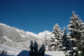 Detaillierte Infos zur Unterkunft HAUS DREER