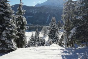 Detaillierte Infos zur Unterkunft HAUS DREER