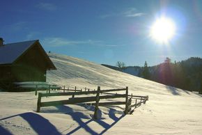Detaillierte Infos zur Unterkunft HAUS DREER