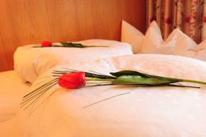 Detaillierte Infos zur Unterkunft Hotel / Pension / Bauernhof - Kneringerhof