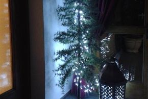 Detaillierte Infos zur Unterkunft Hotel / Pension / Bauernhof - Kneringerhof