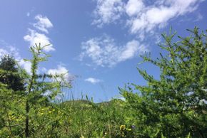 Detaillierte Infos zur Unterkunft Hotel / Pension / Bauernhof - Kneringerhof