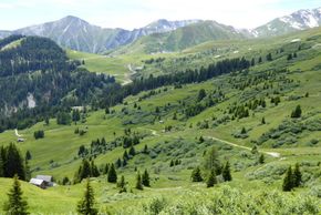 Detaillierte Infos zur Unterkunft Hotel / Pension / Bauernhof - Kneringerhof