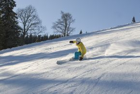 Detaillierte Infos zur Unterkunft KulturGut Apartments Liftverbund Feldberg