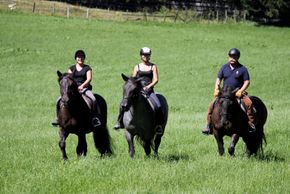 Ausritte und Reitunterricht