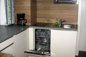 MODERNE KÜCHE mit Grill-Mikrowelle, Geschirrspüler usw..