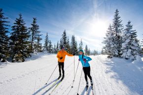 Langlaufen in Filzmoos auf Höhenloipe Rossbrand nahe Dachstein