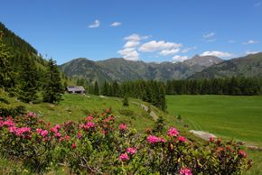 Detaillierte Infos zur Unterkunft Landhaus Huber