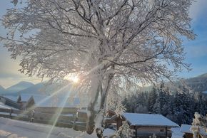 Detaillierte Infos zur Unterkunft Landhaus Wildschütz