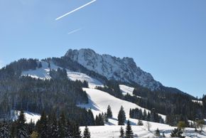 Detaillierte Infos zur Unterkunft Landhaus Wildschütz