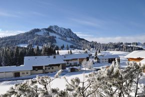 Detaillierte Infos zur Unterkunft Landhaus Wildschütz