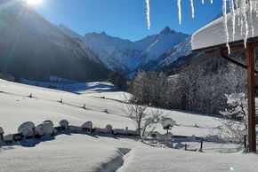 Vom Garten Richtung Süden