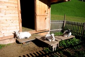 Detaillierte Infos zur Unterkunft Landhaus Lexner