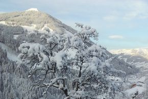 Schattberg Panoramablick