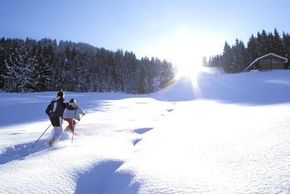 Detaillierte Infos zur Unterkunft Lenzenhof