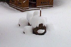 Detaillierte Infos zur Unterkunft Bio-Ferienbauernhof Moarbauer